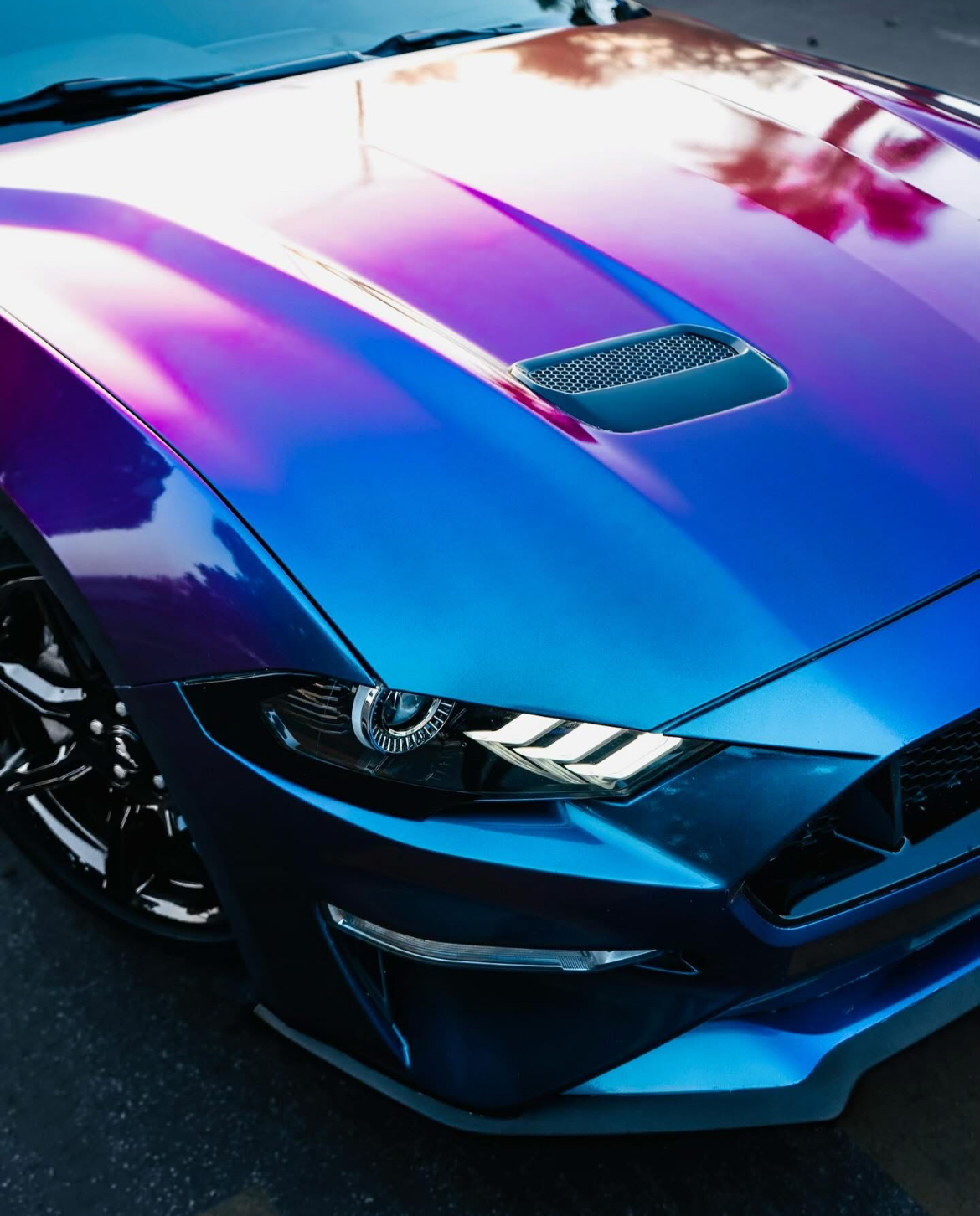 Professional car wrapping service